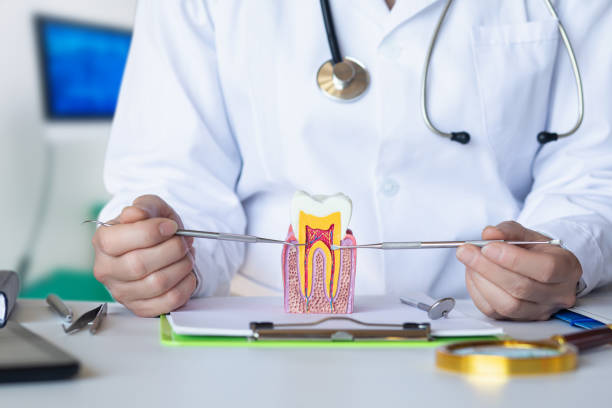 Best Dentist for Tooth Abscess  in Paulina, LA